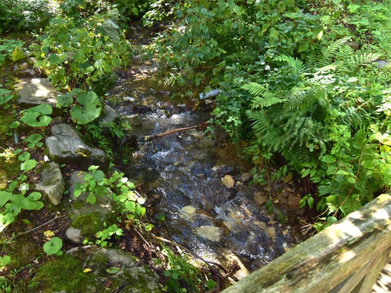 Lamp No Yado Aoni Onsen Ξενοδοχείο Hirakawa Εξωτερικό φωτογραφία