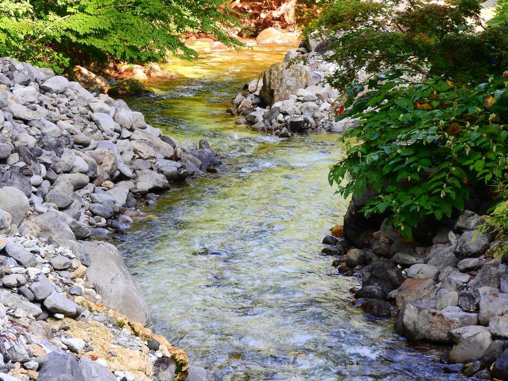 Lamp No Yado Aoni Onsen Ξενοδοχείο Hirakawa Εξωτερικό φωτογραφία